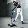 The 'Brute' Heavy-Duty Batting Tee By Champro Sports Baseball Equipment