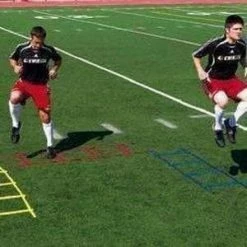 Kwik Goal Mini Ladder