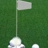 The Net Return Putting Cup And Flag