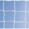 Trigon Sports International Lacrosse Equipment TSI Lacrosse Goal Nets